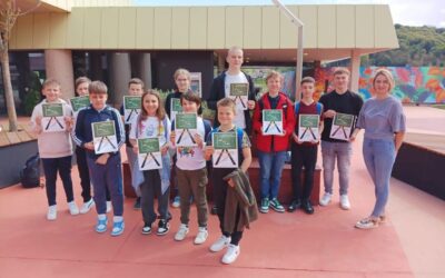 Matematički klokan, MAT ligica, MathFest